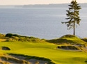 Chambers Bay Golf Club